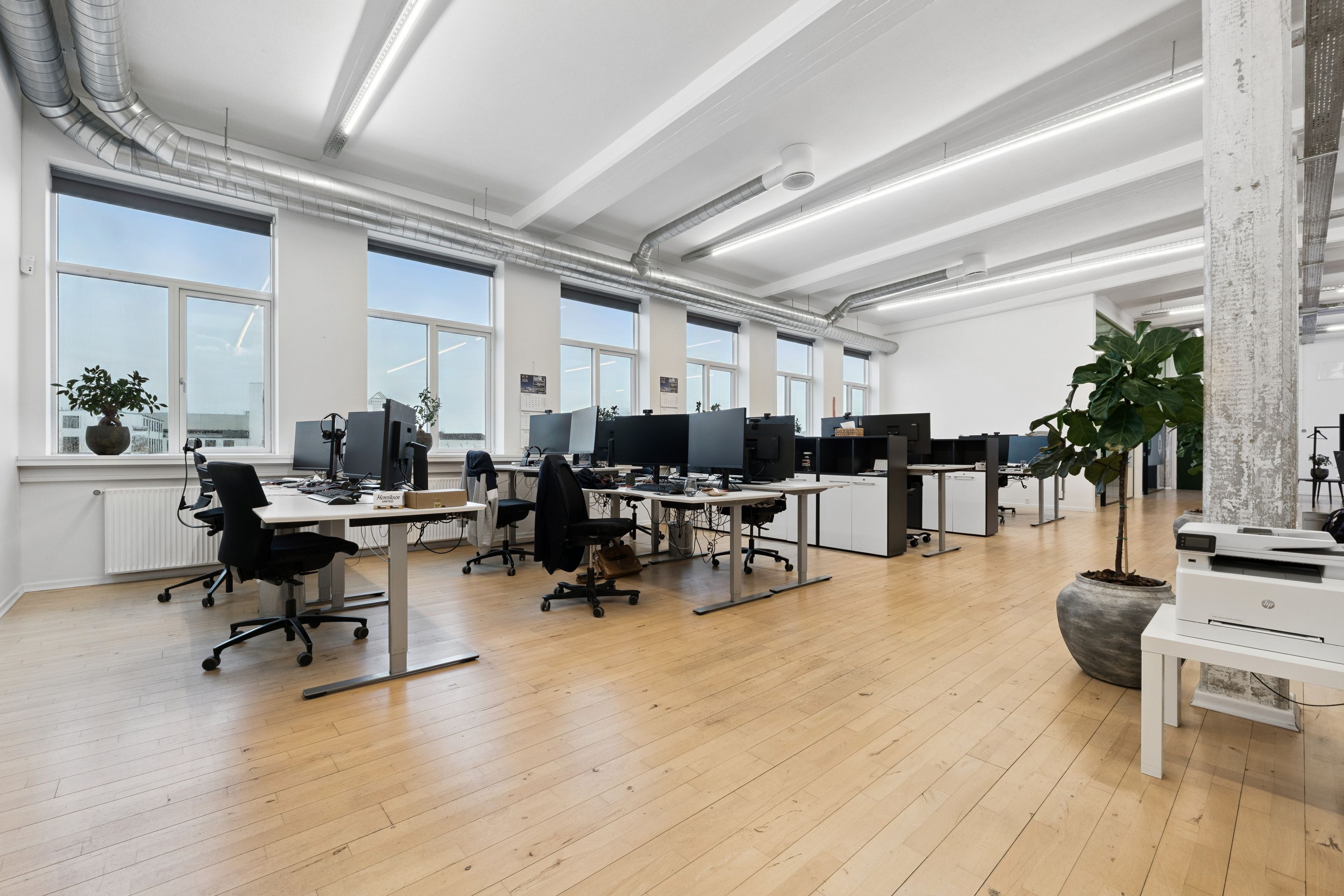 Lyst kontorlokal med højloft og store ruder, lyse loftslampe og lysegule gulv. Moderne kontorbureaus og computere. En stor plante og en printer i baggrunden.