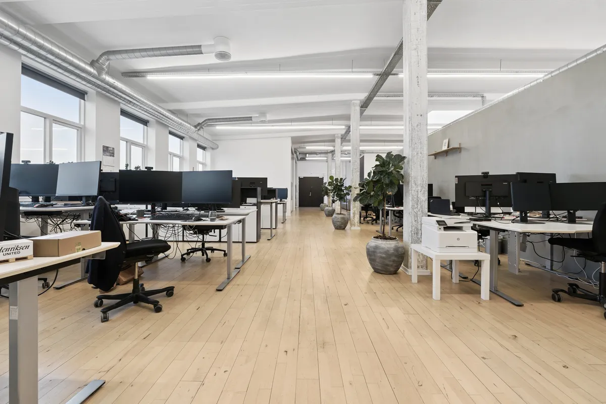 Lyst kontor med masser af vinduer og moderne udstyr som computere, stole og printer. Kontoret er smagfuldt indrettet med højloft og lysegulve. De to store lysegrå potteplanter giver et varmt og hyggeligt indtryk.