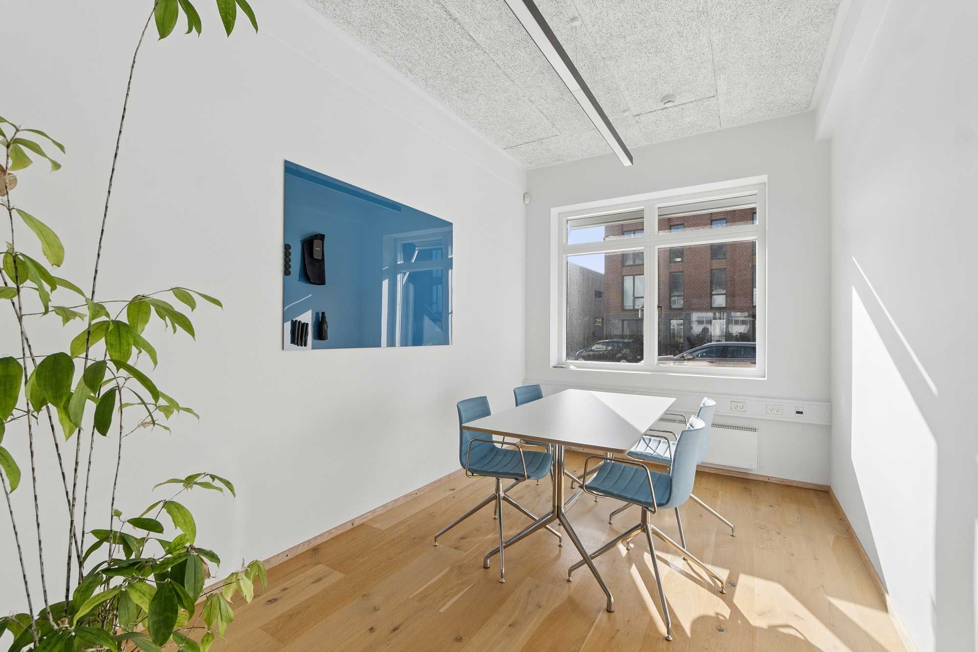 Kontorrum med højt til loftet og industrielt indretning, hvidt bord, blå sæder og en stor plante i hjørnet