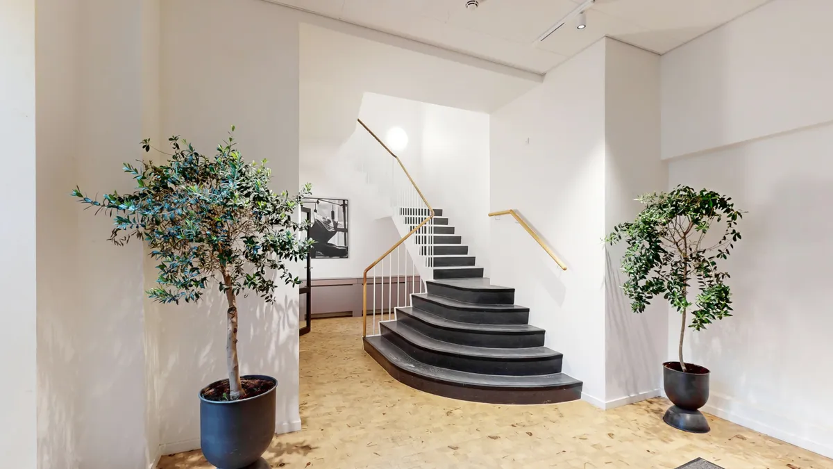 Indgående hall med trægulv og moderne stige med guldfarvede håndtag. To store lyseplanter står på hver side af stigerne. Væggene er hvide.