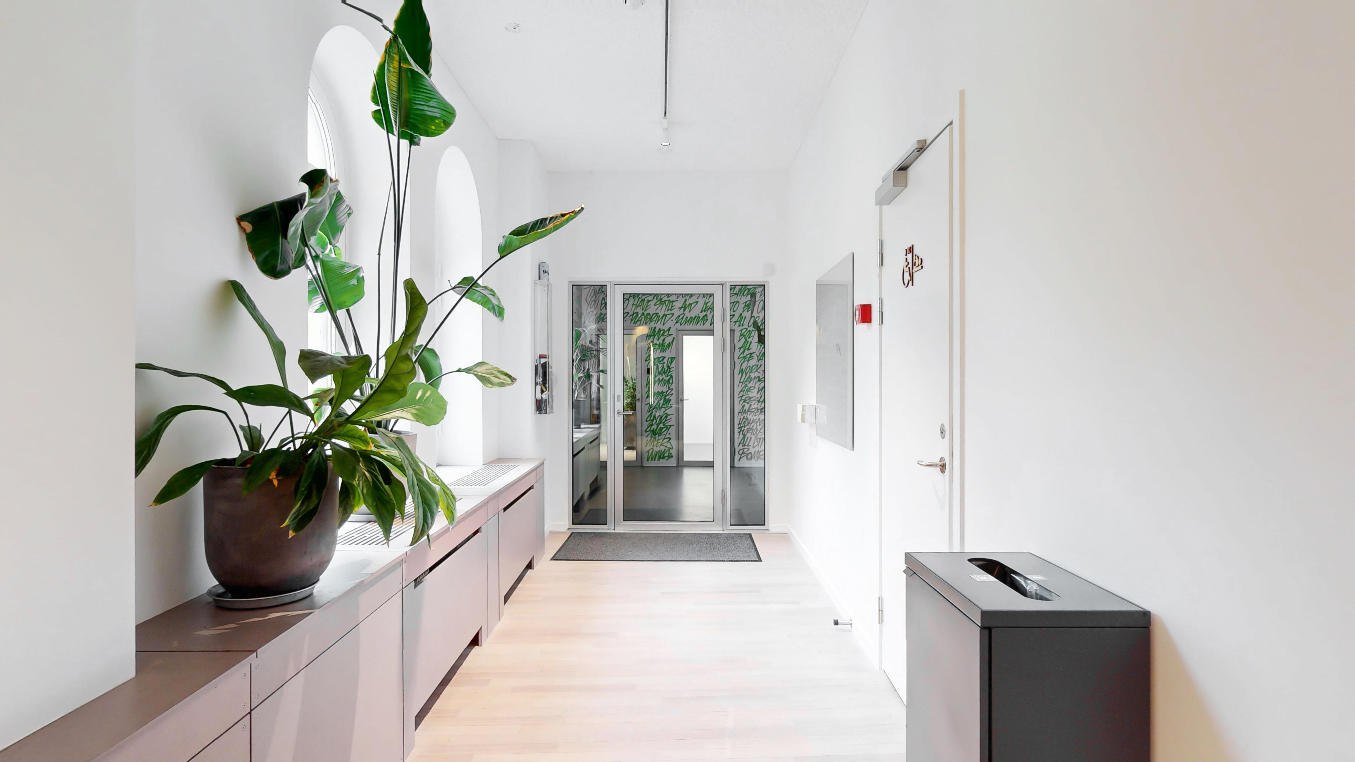 Kontorfremlejemål med en stor grøn plante i gryden, et moderne interiør med hvide vægge, højloft og lysegulve samt en simpel, lukket dør med et skriftstykke
