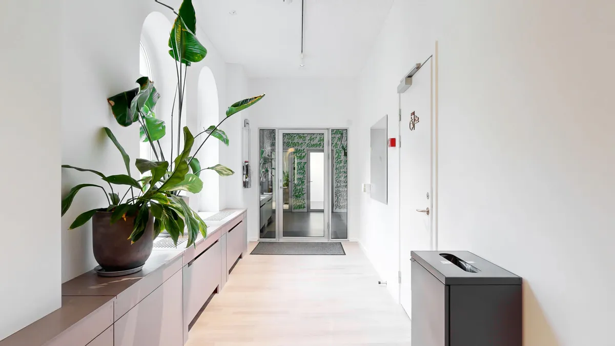 Kontorfremlejemål med en stor grøn plante i gryden, et moderne interiør med hvide vægge, højloft og lysegulve samt en simpel, lukket dør med et skriftstykke