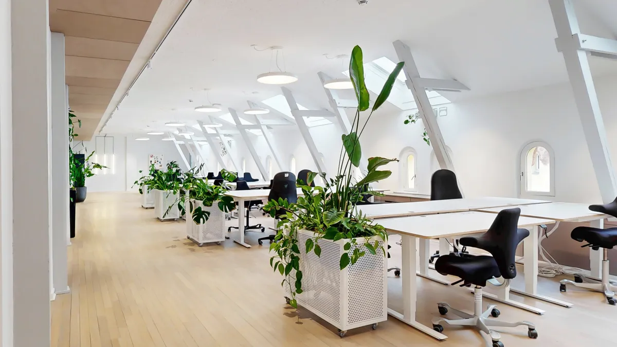 Kontor med lyse lofter, lyse hvide vægge og store vinduer. Planter i hvide potter og møbler med høje rygge. Et meget funktionelt og komfortabelt kontor.