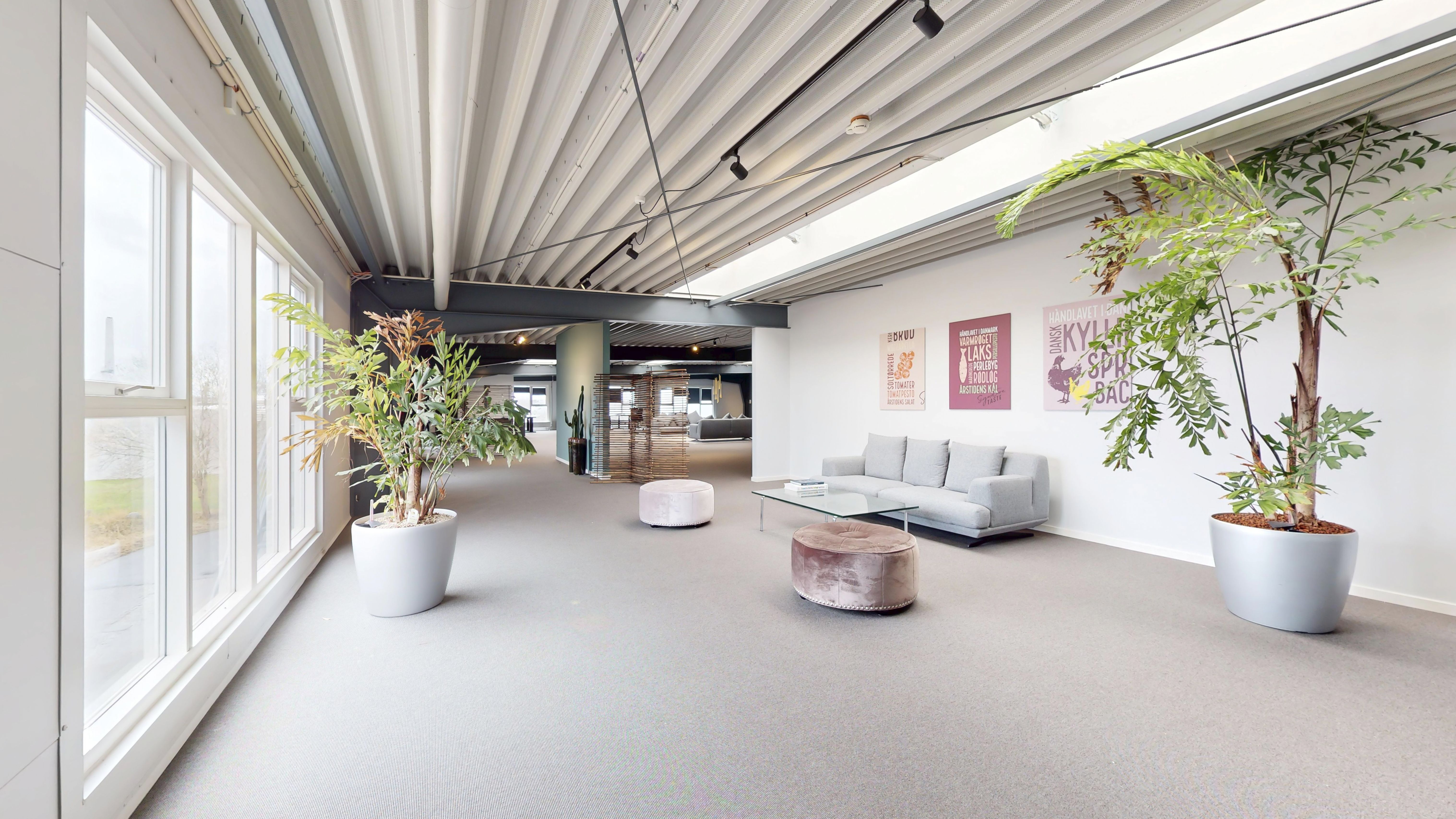 Et stort og fleksibelt kontor med hvide vægge, store vinduer og lyse lofter. En grå sofa og trægulve samt tre store lyseplanter. En plante og et lysepunkt på loftet.