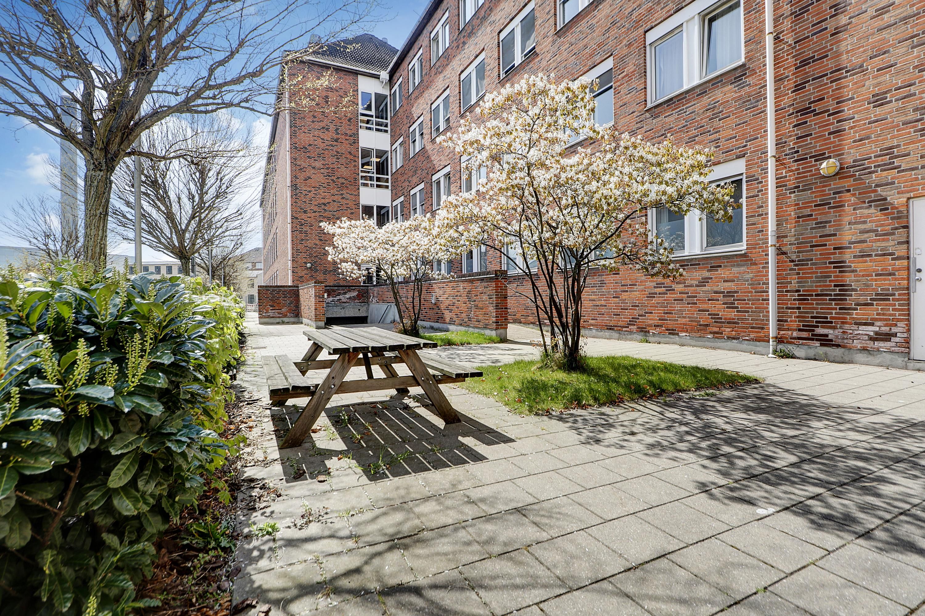 København NV: Kontorlejemål med terrasse og udsigt til grønne træer, fredelig og rofyldt til leje i centrum, tæt på Nørrebro Station