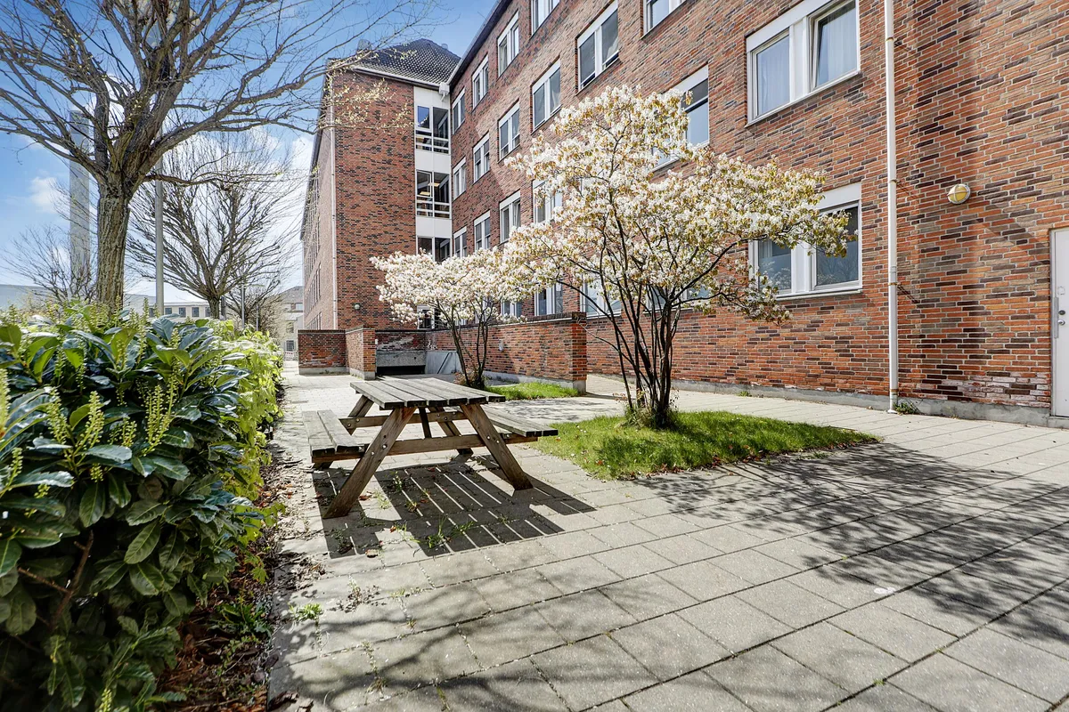 En træbænk med bænkeplads i skyggen af en grøn plante. Et hus med røde mursten og flere vinduer. En hvid dør, et lys og et træ med hvide blomster.