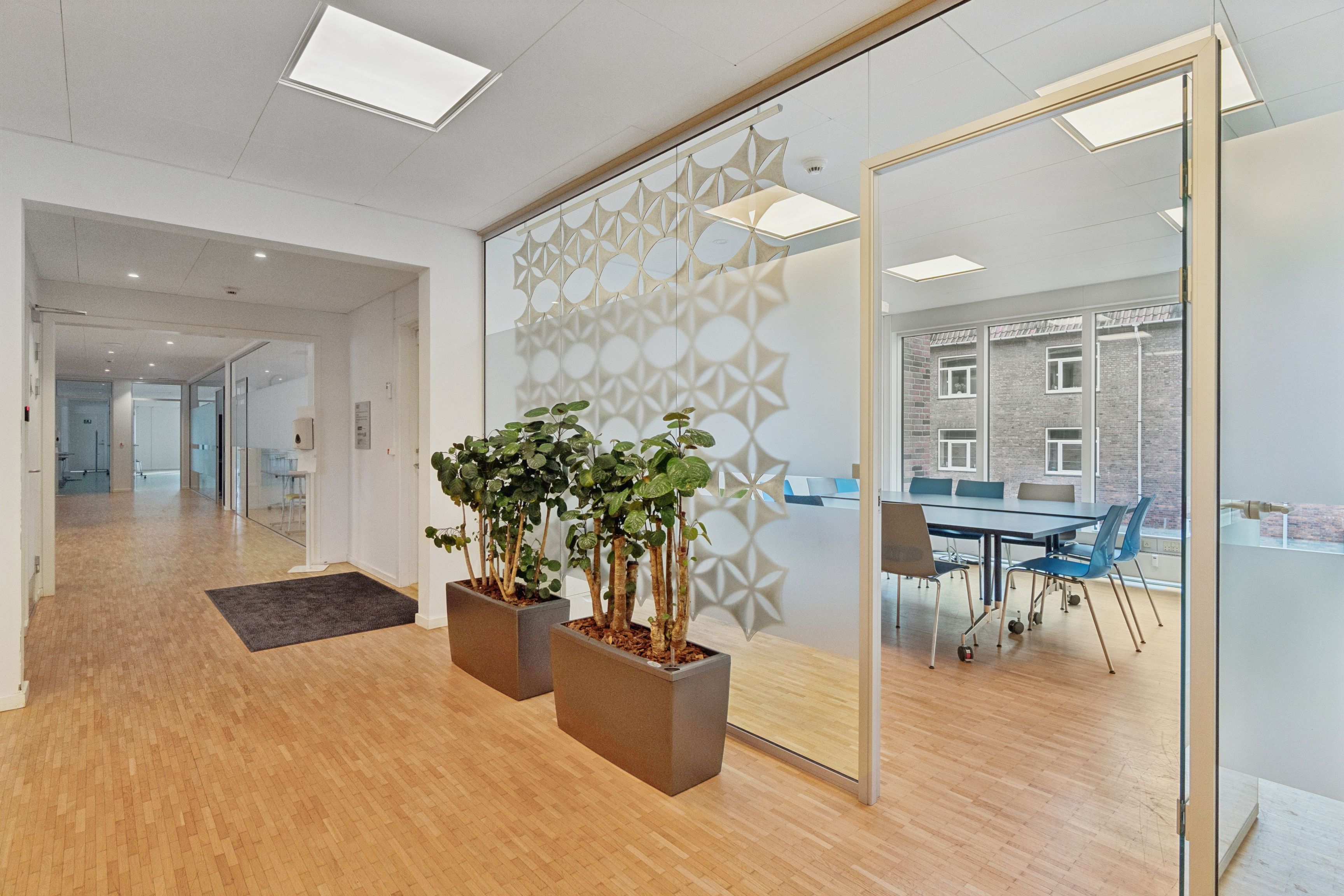 Indre rum i et kontor med lyse vægge, trægulve og to store planter. Lyst og luftigt med træbord og lyse stolene samt store glasruder
