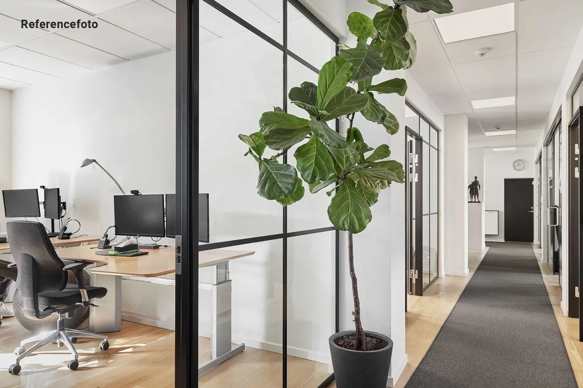 Kontor med to skriveborde, hver med computer og telefon. Trægulv og glasvægge med plante og lysekroner. Sort gulvtæppe i korridor og ure på væggen.