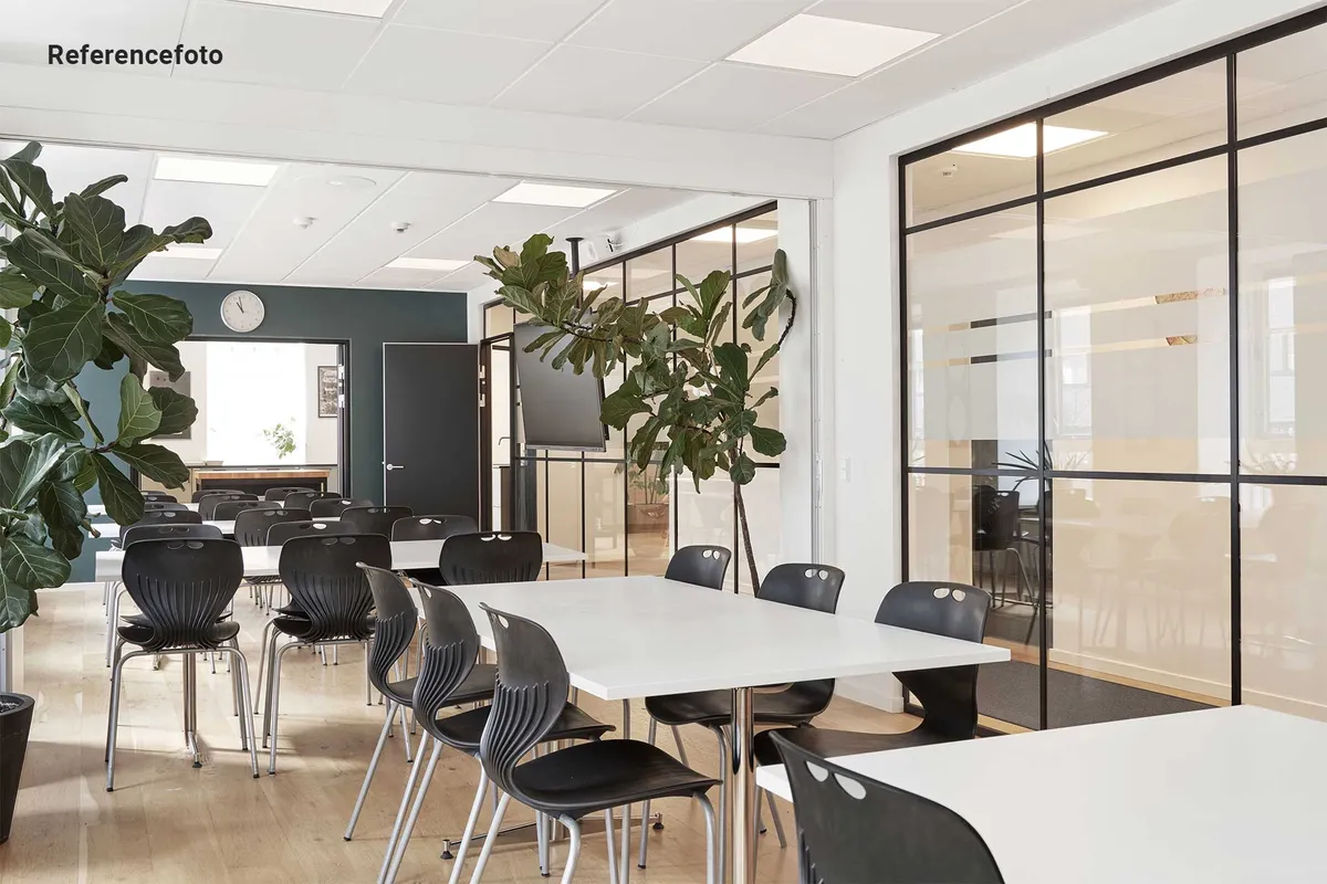 Kontorrum med hvide skriveborde og stole, store plantager og glasvægge med træindfatning samt moderne interiørdesign