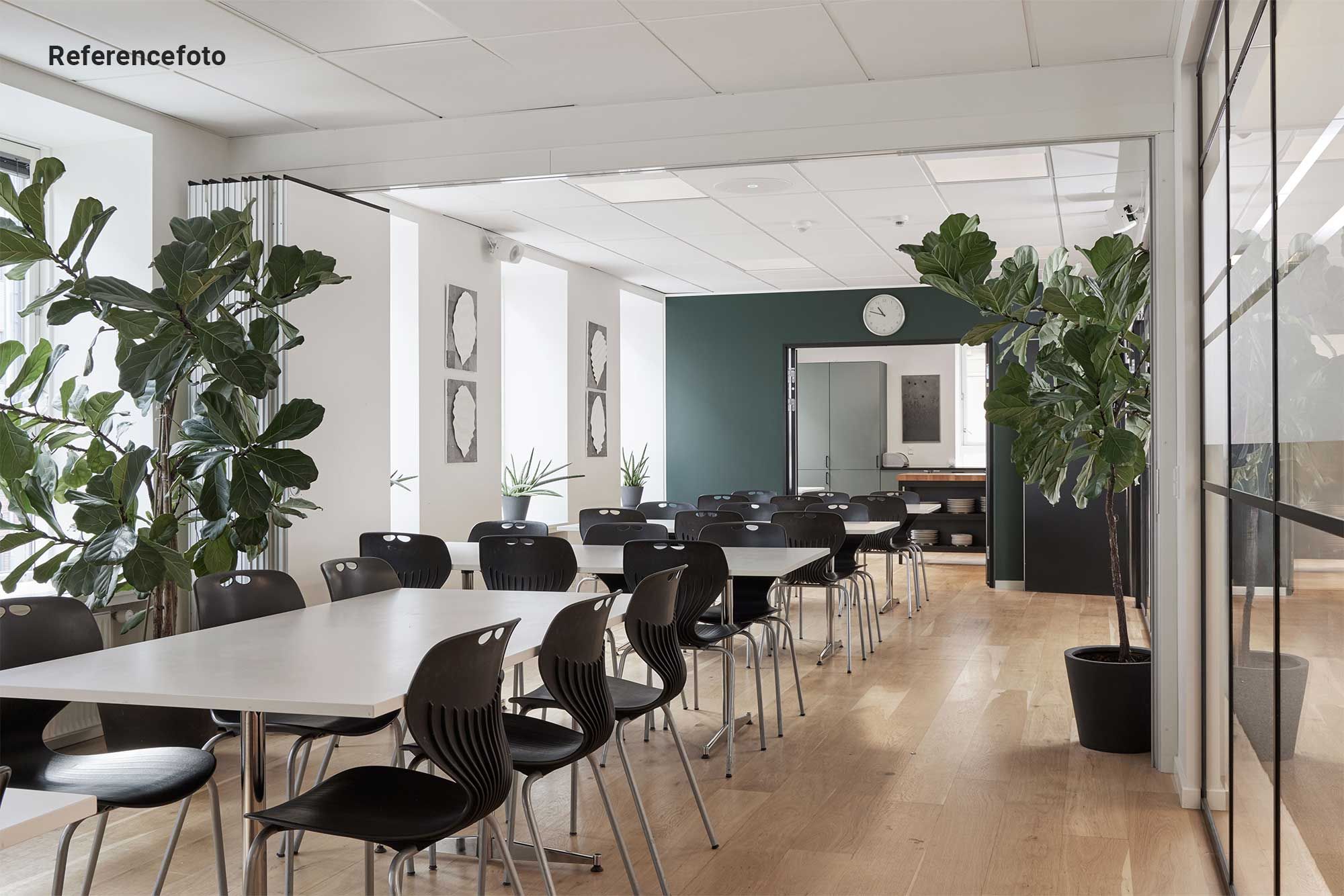 Kontor med lyse lofter, møbler og store planter. Der er to ure på væggen og flere døre i baggrunden.