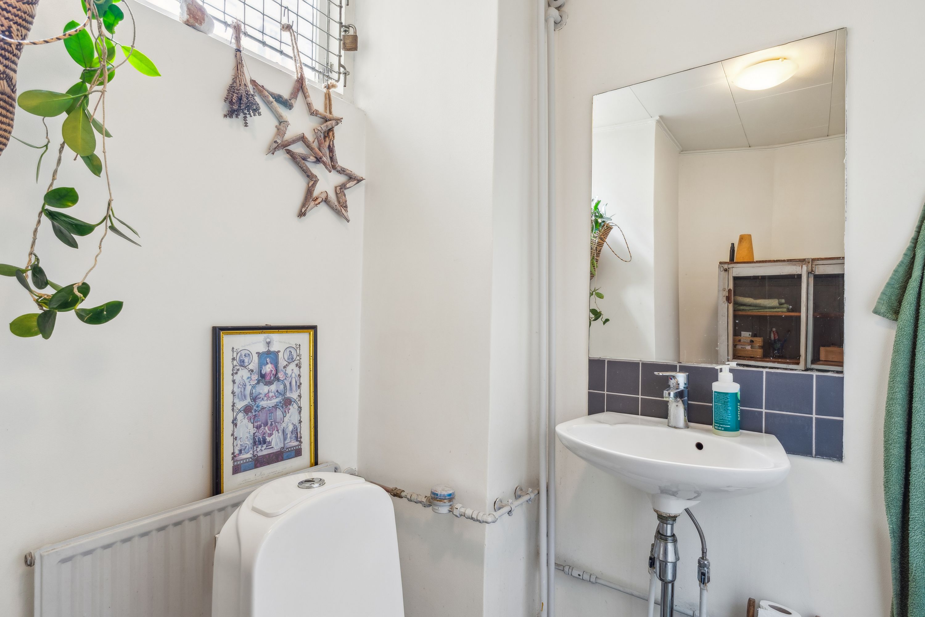 Toilet med hængende plante, søjle med opbevaring, spejl og håndsæbeflaske ved håndvask. Badeværelse med hvide vægge og radiator.