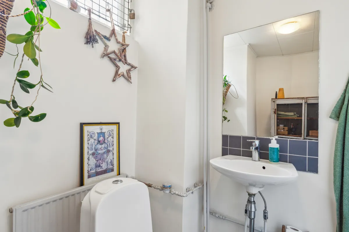 Toilet med hængende plante, søjle med opbevaring, spejl og håndsæbeflaske ved håndvask. Badeværelse med hvide vægge og radiator.