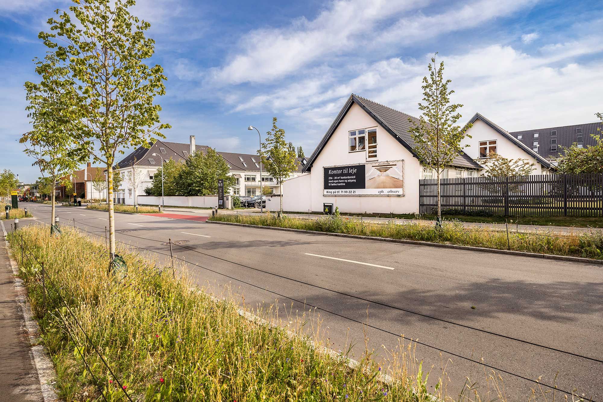 Kontorlejemål til leje med industriinspireret design. Moderne huse med tagrør og reklameskilt. Byggegrund og grønne områder med træer og buske. Lys og solskin.