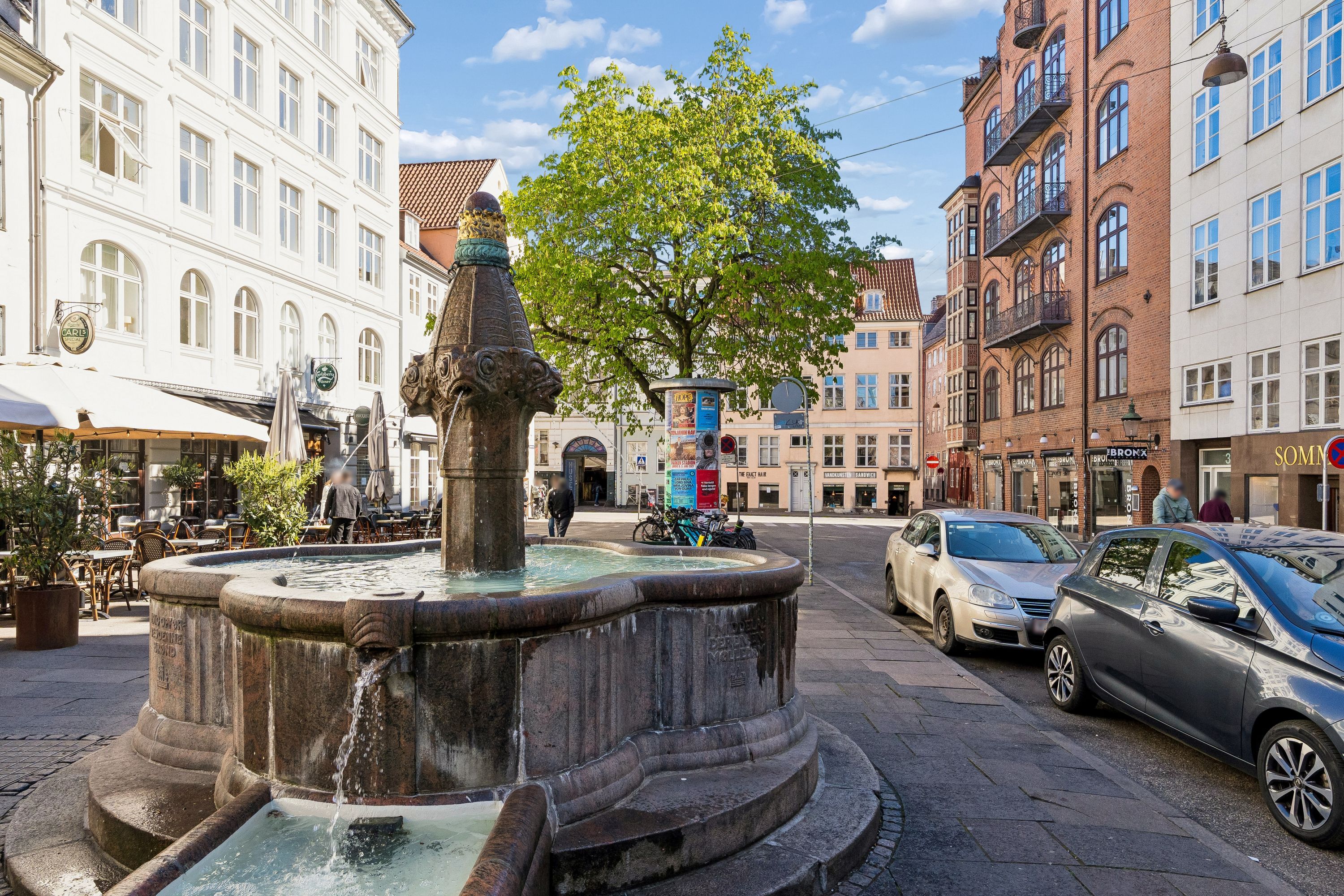 Vandspring i centrum af København med planter og træer og to parkerede biler på siden