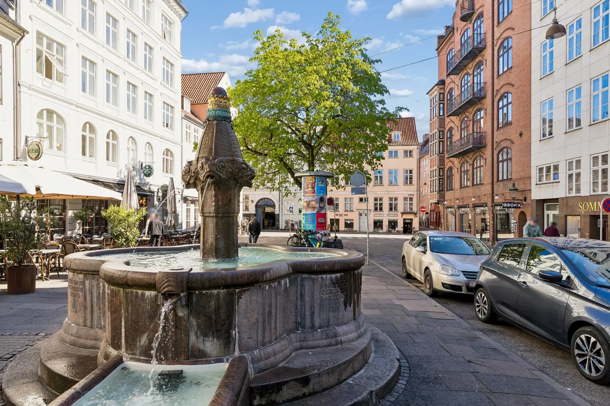 Vandspring i centrum af København med planter og træer og to parkerede biler på siden