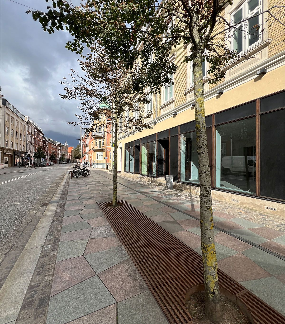 To nye træer står på bredden ved et lejlighedslokal i Aalborg. Der er også en brun metalgitter i forgrunden.