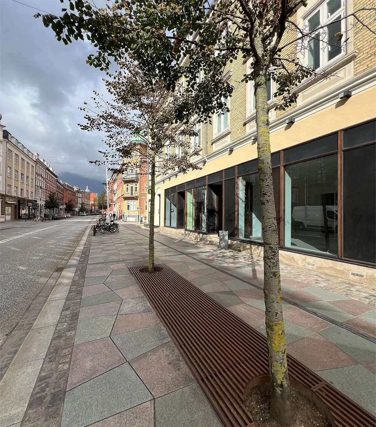 To nye træer står på bredden ved et lejlighedslokal i Aalborg. Der er også en brun metalgitter i forgrunden.
