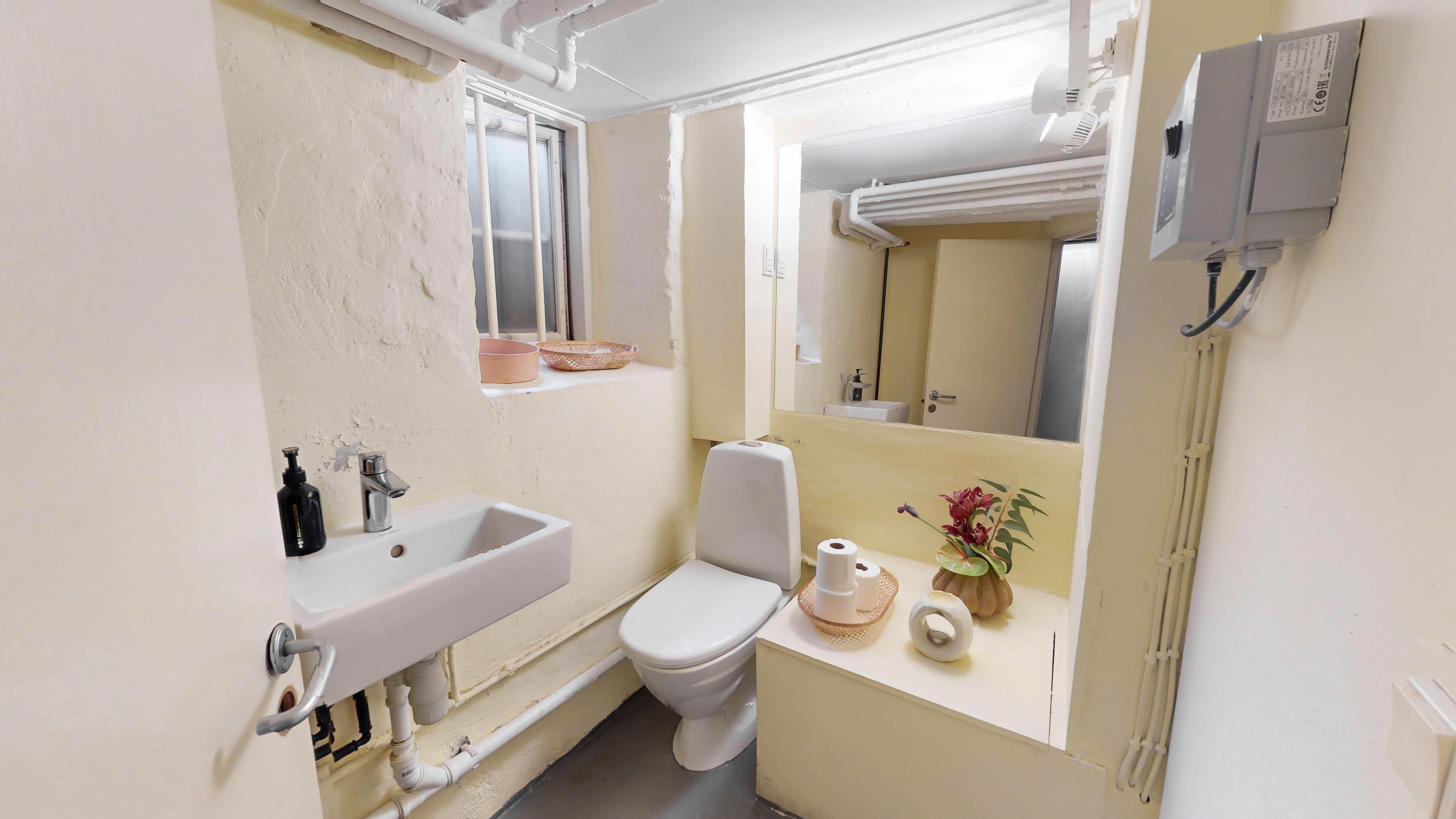 Rent og hyggeligt badeværelse med toilet, håndvask og spejl samt to toiletpapirruller og en vase med blomster.