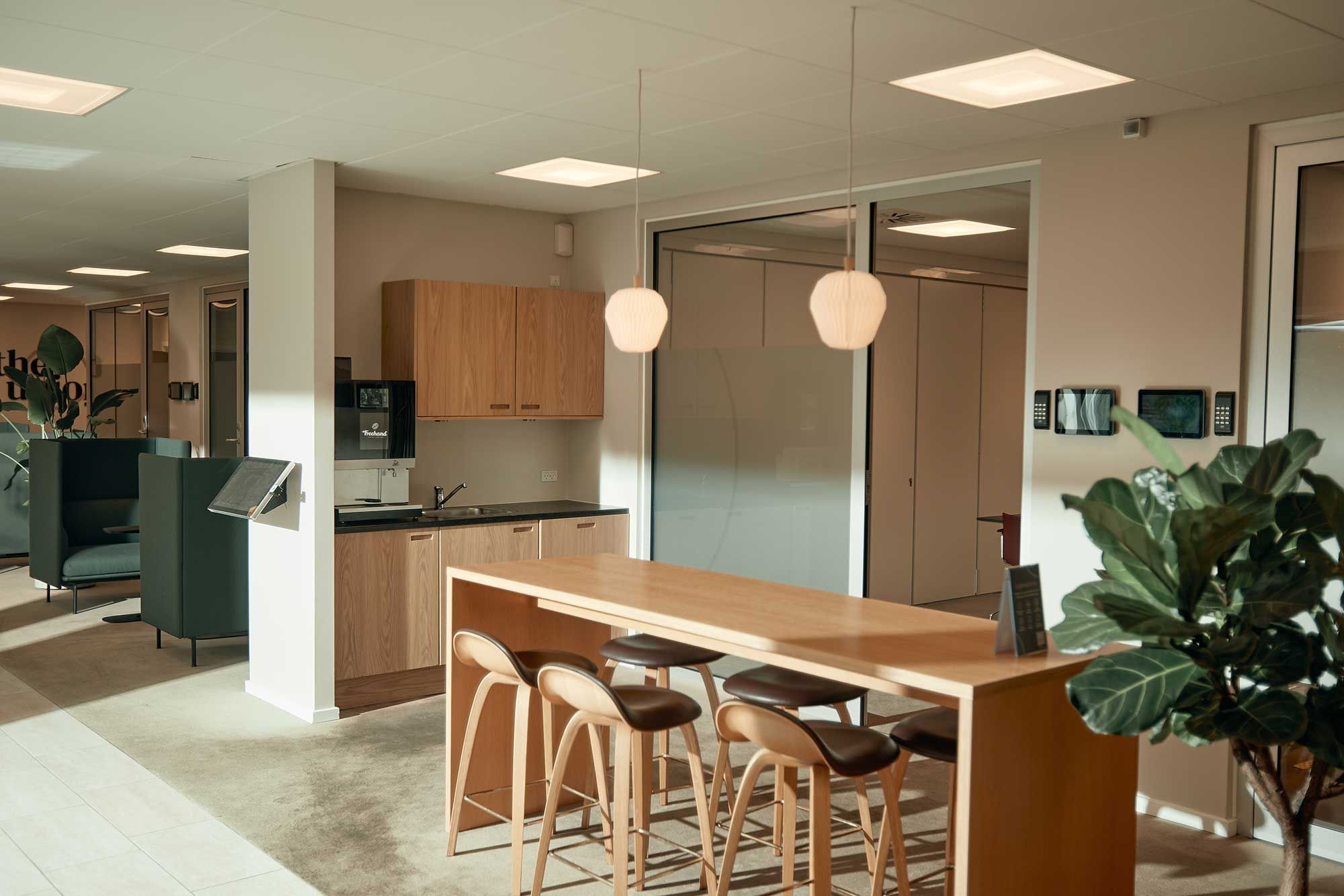 Foto af moderne kontor med lyse lofter, lysekroner, og lyse loftsspots, træskabe, og en terrasse med en sofa og en plante