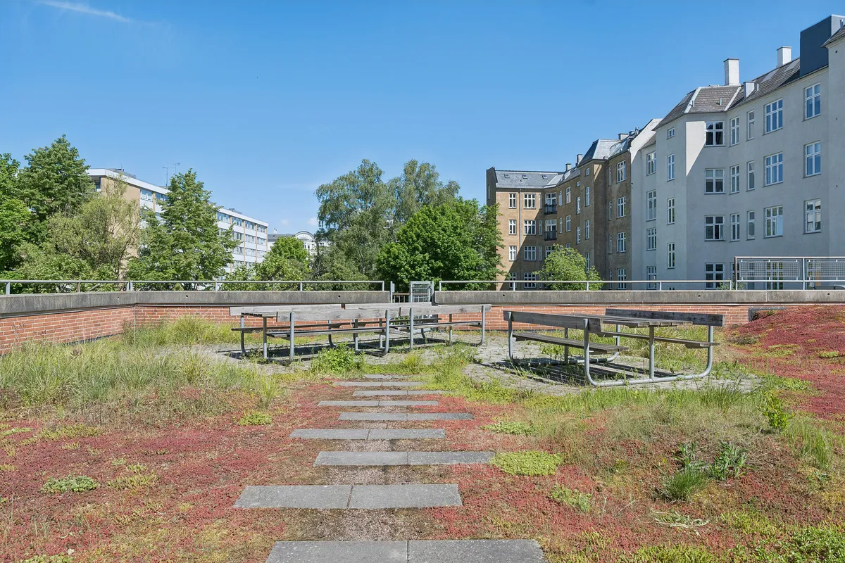 Moderne taghave med lyserøde planter og grønne græsplæner, træer og lyserøde buske, parkeringsplads, gårdhave, møbler og gulv med sten, og bygninger i baggrunden