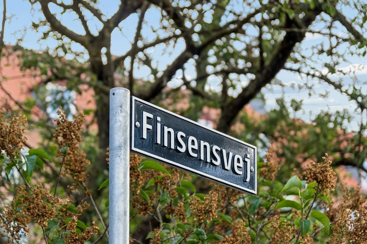 Søjle med sort-hvid skilt med teksten Finsensvej i hvid skrift, omgivet af grønne buske og træer med brændte blade i skarpt fokus