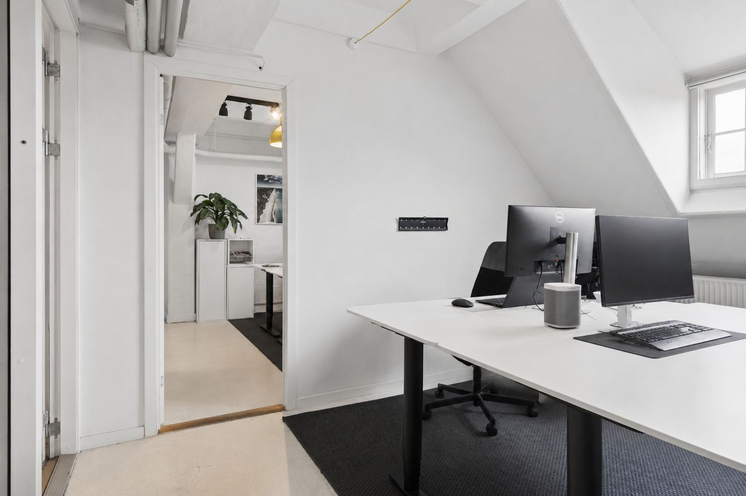 To monitorer og skrivebord med computer i lyse loftsrum med lysekron og plante i lyset. To lysegulve og hvide vægge.