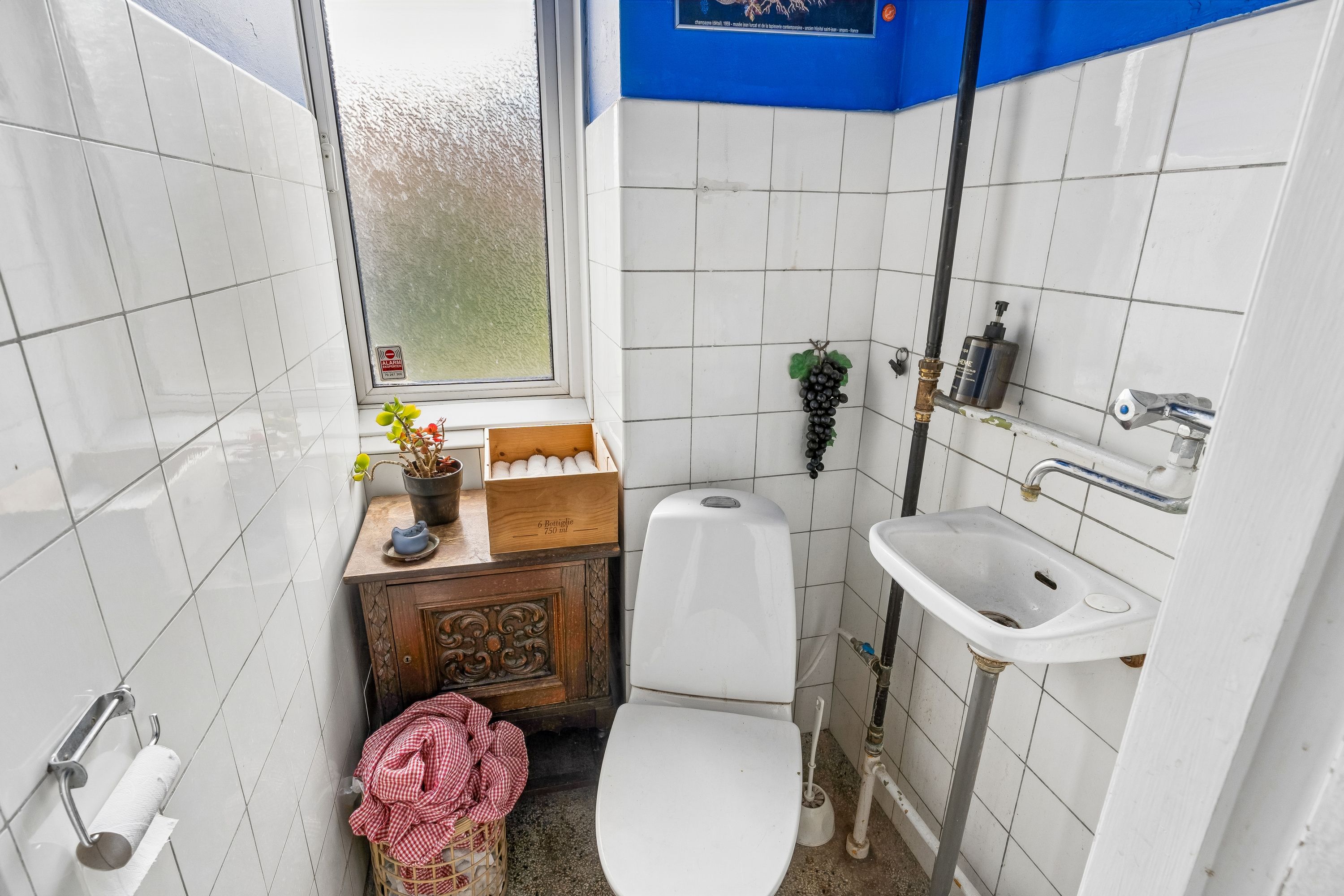 En lille toiletrum med hvide kakel og toiletpapir i toiletrullen. Der er en lille plante i en potte og et lille skab med flere sæbeflasker og en vinstokke.