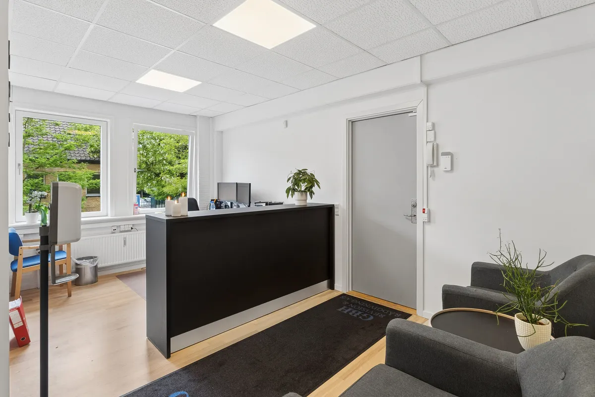 Kontor med hvidt loft, lysegul gulv og lysegrå vægge. Modtagelsesbord med plante og to sæt stole samt en telefon og en plante. Vindue med udsigt til grønne træer.