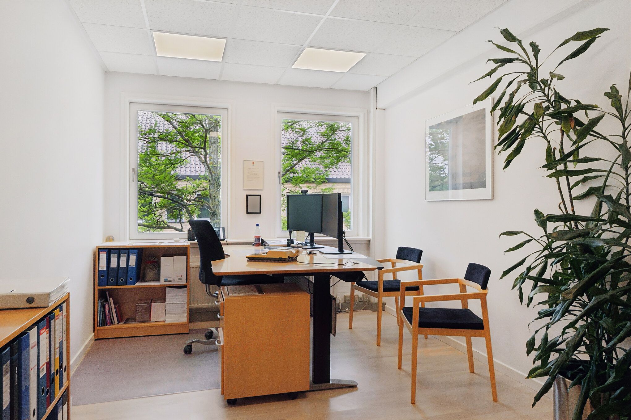 Kontorrum med moderne møbler og teknologi samt trægulve, vinduer og plante.