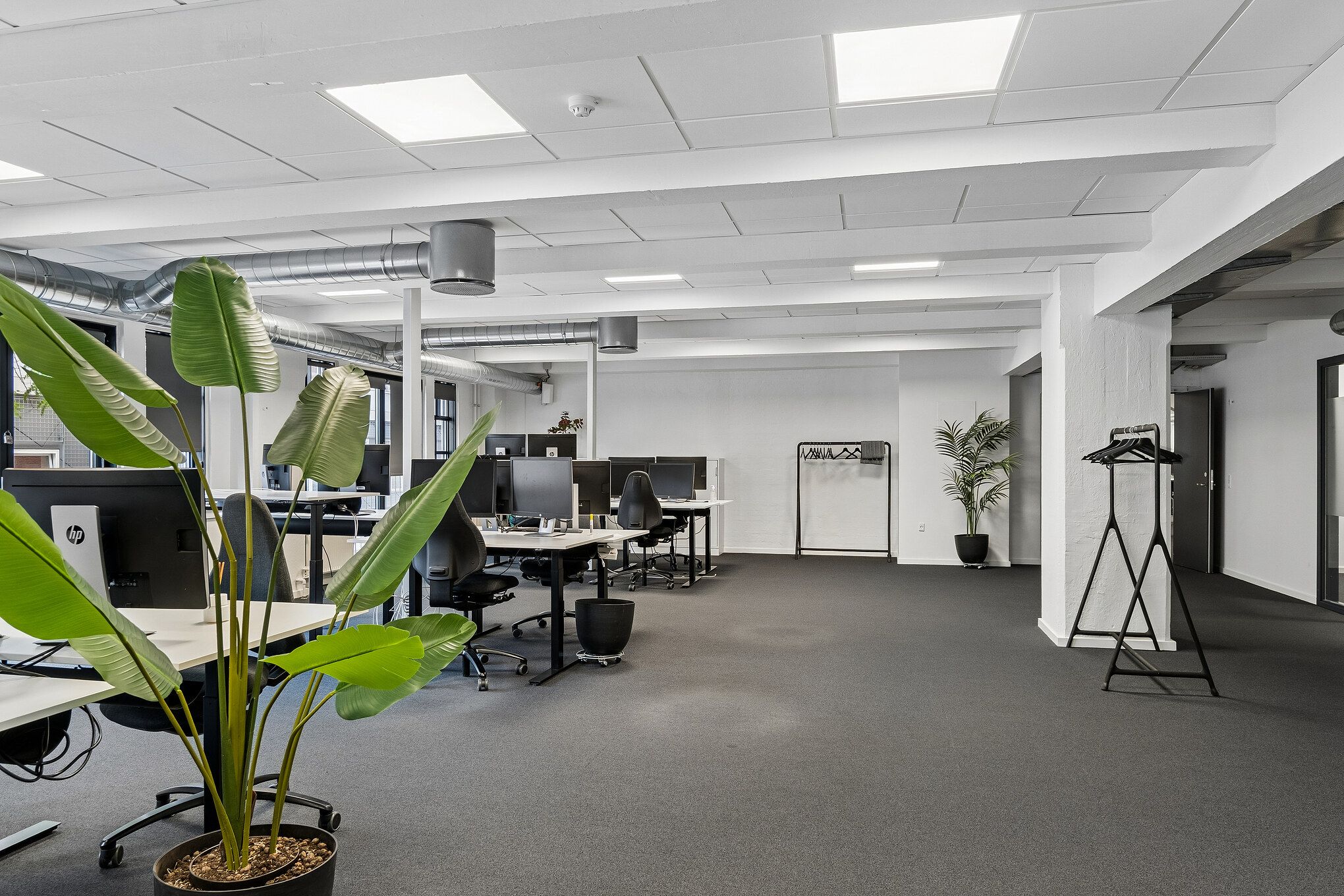 Kontorrum med moderne design, højloft, lyse loftspaneler, fælles kantine, tagterrasse, ventilation og grønne planter i stærkt lys