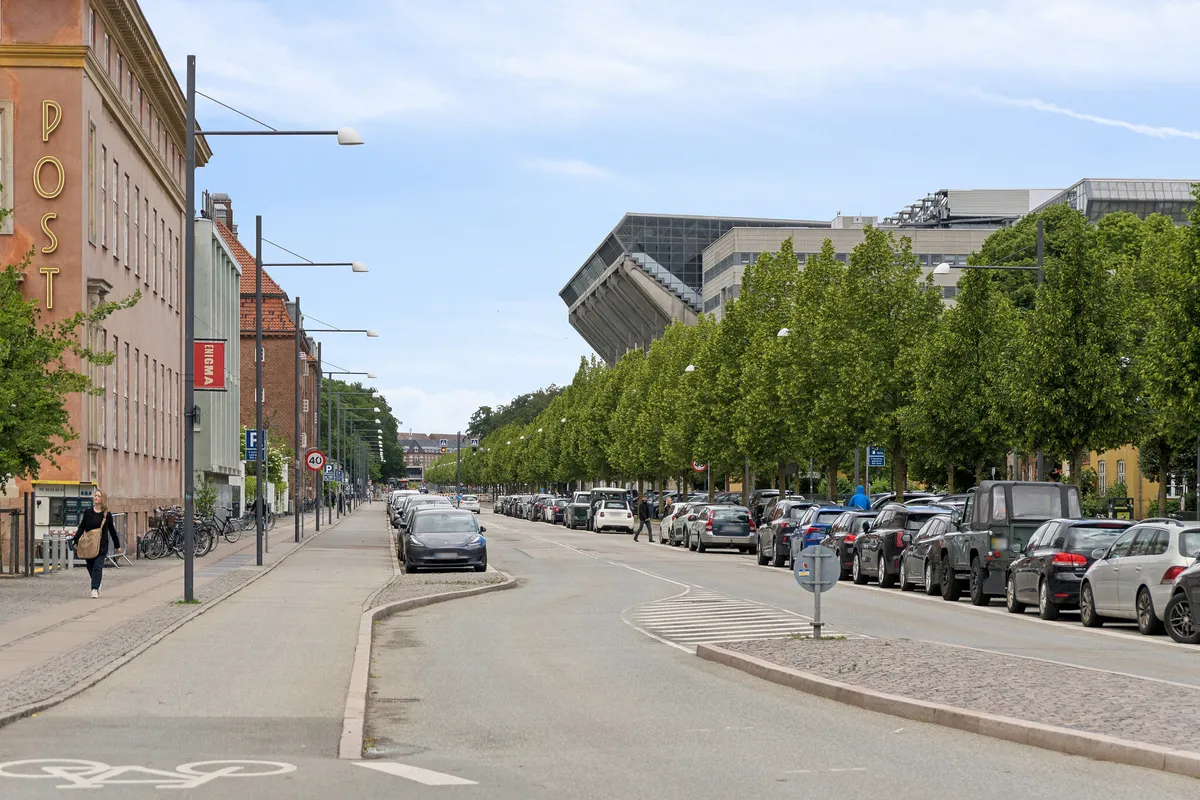 En bred gågade med parkerede biler og gående mennesker samt slanke og høje træer på højre side.