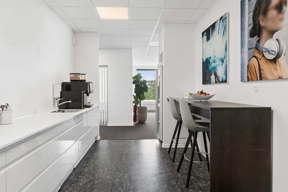 Køkken med højloft, moderne udstyr, køleskab, stol, højtalere, malerier og gulvbelægning