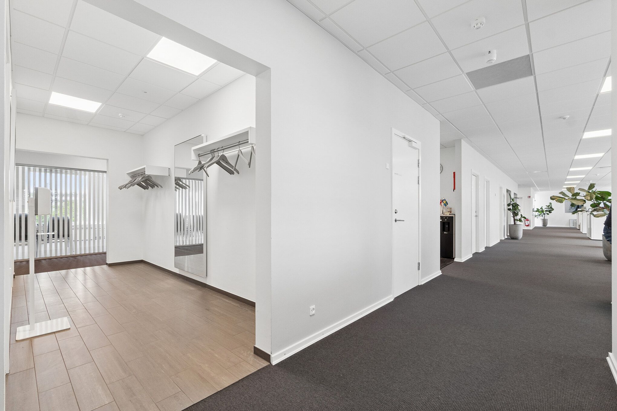 Et moderne kontor med hvidmalede vægge og gulv. En række med møderum og et rekreativt område med kantiner og haveplanter.