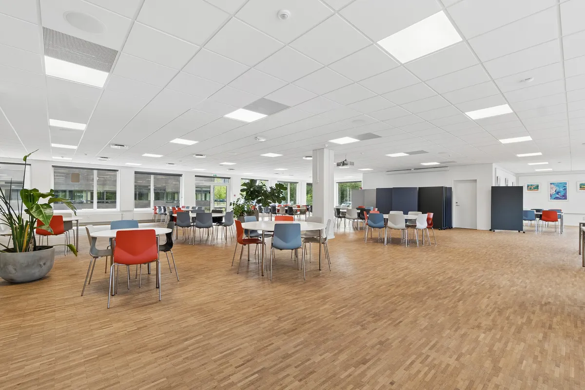 Kontorlejlighed med moderne møbler, lyse loftslampe og vinduer, køkken med spiseplads og mødecenter, lysegul trægulv og plante i store gryder