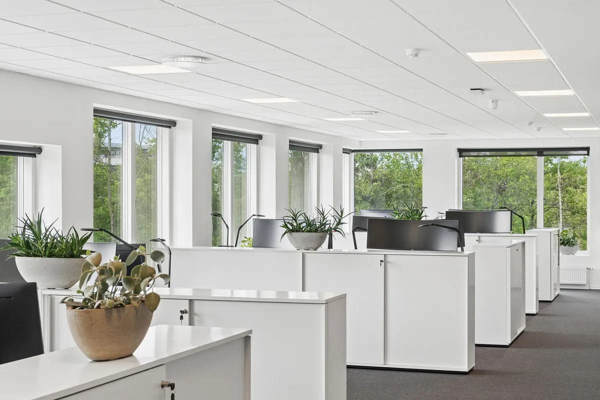 Kontorrum med hvide vægge, moderne møbler og vinduer med udsigt til park med træer. Væsentlige faciliteter inkluderer køl- og ventilationssystemer, fælles kantine og bemandet reception