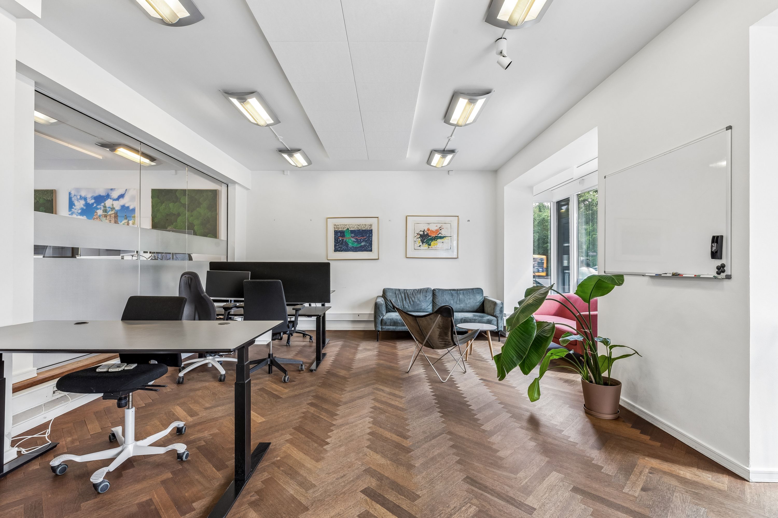 Kontor med skrivebord, stol, sofa, plante og kunstværker i et lyse og moderne kontor med trægulv og hvide vægge.