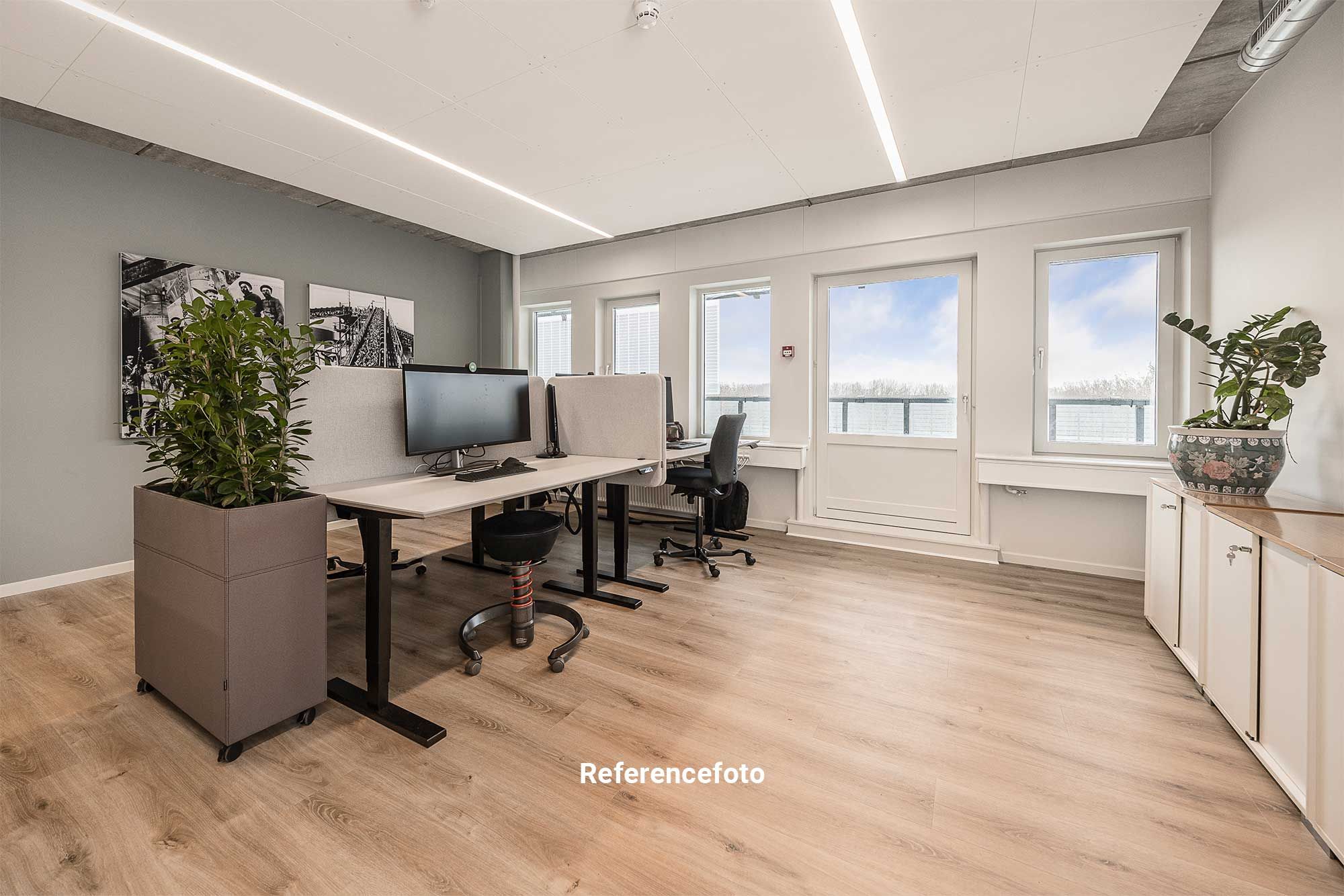 Kontorlokaler med skriveborde, stol, computer, kabinet og 2 plante. Vinduer og et udgangsdør. Moderne indretning og lyskabler.