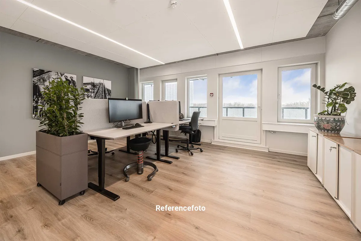 Kontorlokaler med skriveborde, stol, computer, kabinet og 2 plante. Vinduer og et udgangsdør. Moderne indretning og lyskabler.