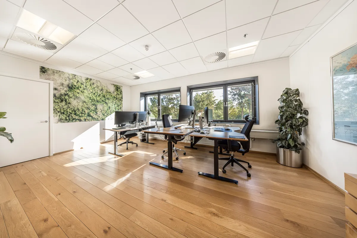 Moderne kontor med lyse trægulve og stærkt fokus på grønne plantager og luftige vinduer. To store skriveborde med moderne computere og lyse stole.