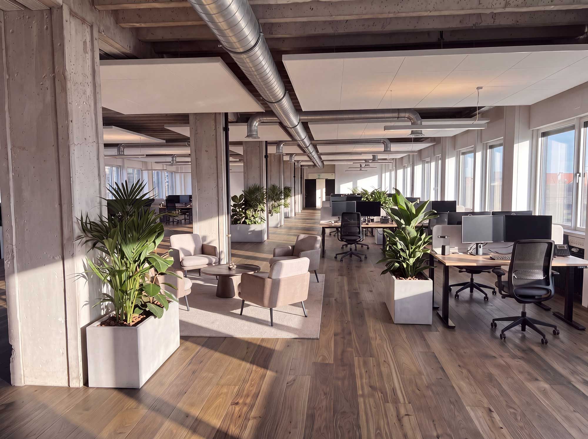 Indflytningsklart kontor med lyse vinduer og industrielt udtryk på Haydnsvej 2, København SV. Moderne kontorer med smukke trægulve, plantager og ergonomiske kontormøbler.
