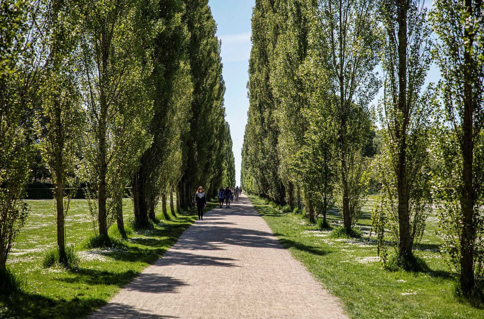 Lys og lysegrå vej gennem park med grønne træer og græs samt mennesker, der går