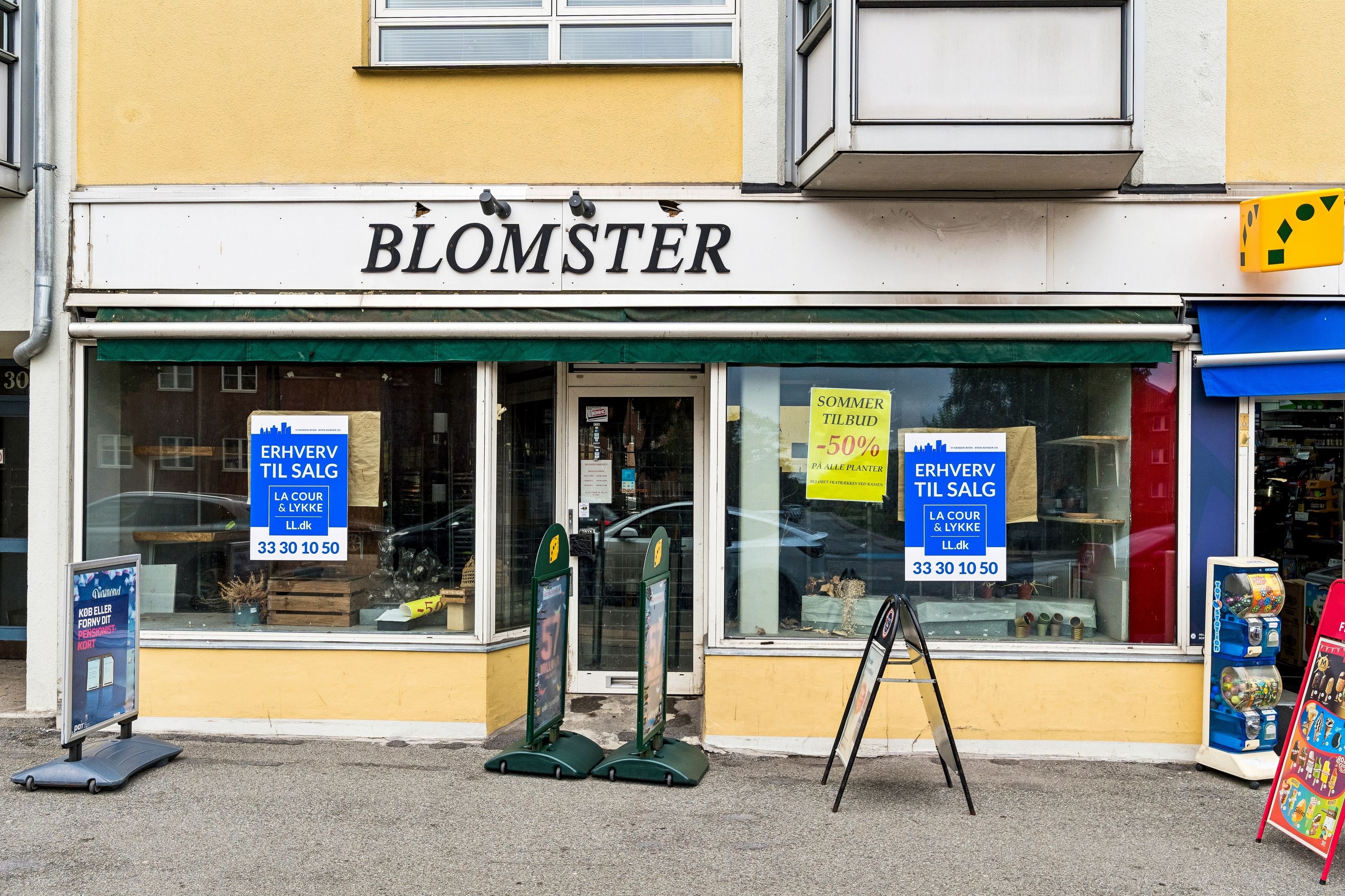 Blomsterbutik i Brønshøj med solnedgangstilbud og rabatter på alle planter, der sælges i perioden 33.30 til 50.