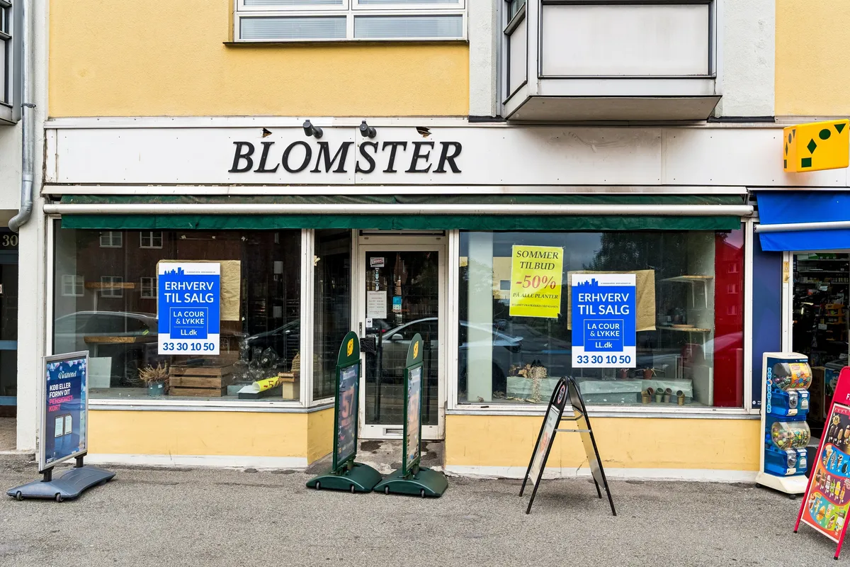 Blomsterbutik i Brønshøj med solnedgangstilbud og rabatter på alle planter, der sælges i perioden 33.30 til 50.