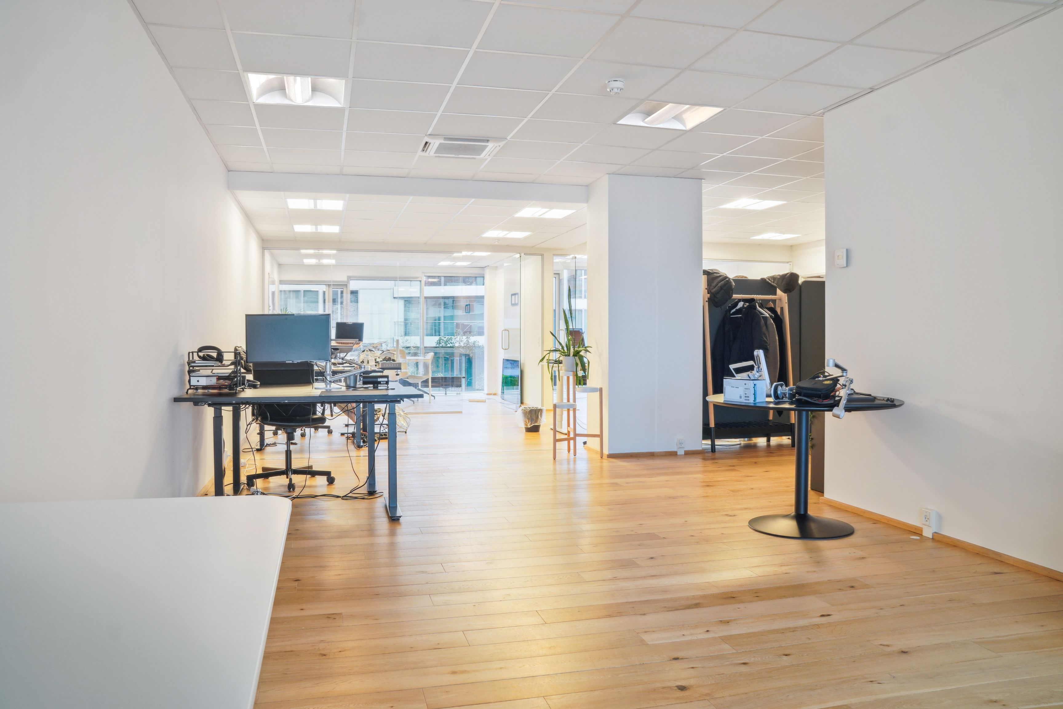Moderne kontor med højloft, smukke trægulve og funktionelle skriveborde. Styrende belysning og minimalistisk indretning med grønne planter.