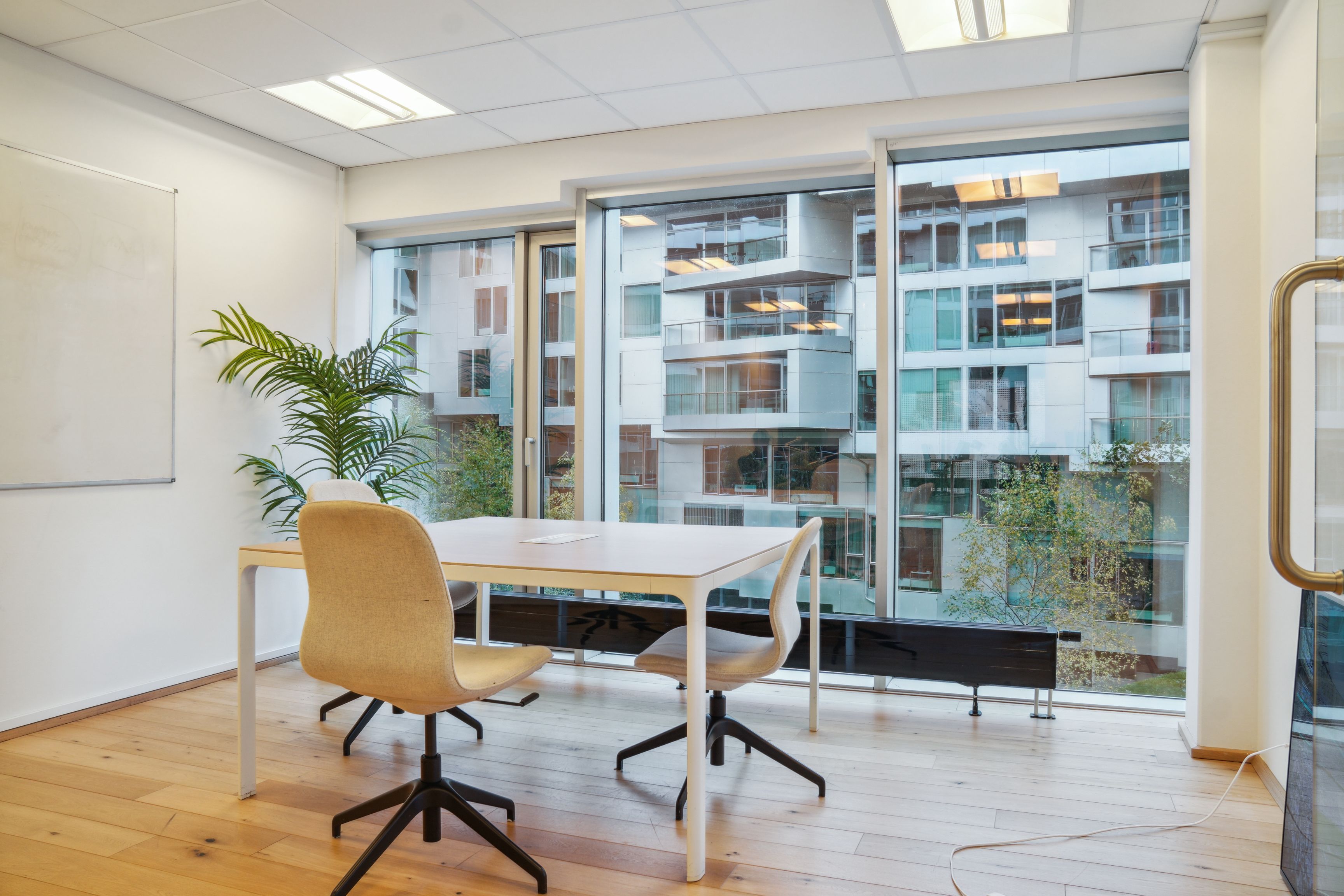 Kontor med bord, stole og plante i nærheden af store glasruder med udsigt til bygninger og træer