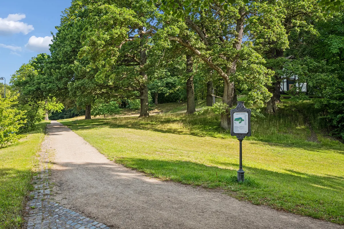 Naturlig, skovklædt gågade i Kongens Lyngby med græsarealer og parkeret vej. Her er et skovklædt område med en smal, grøn stier og en vejside med græsplæne