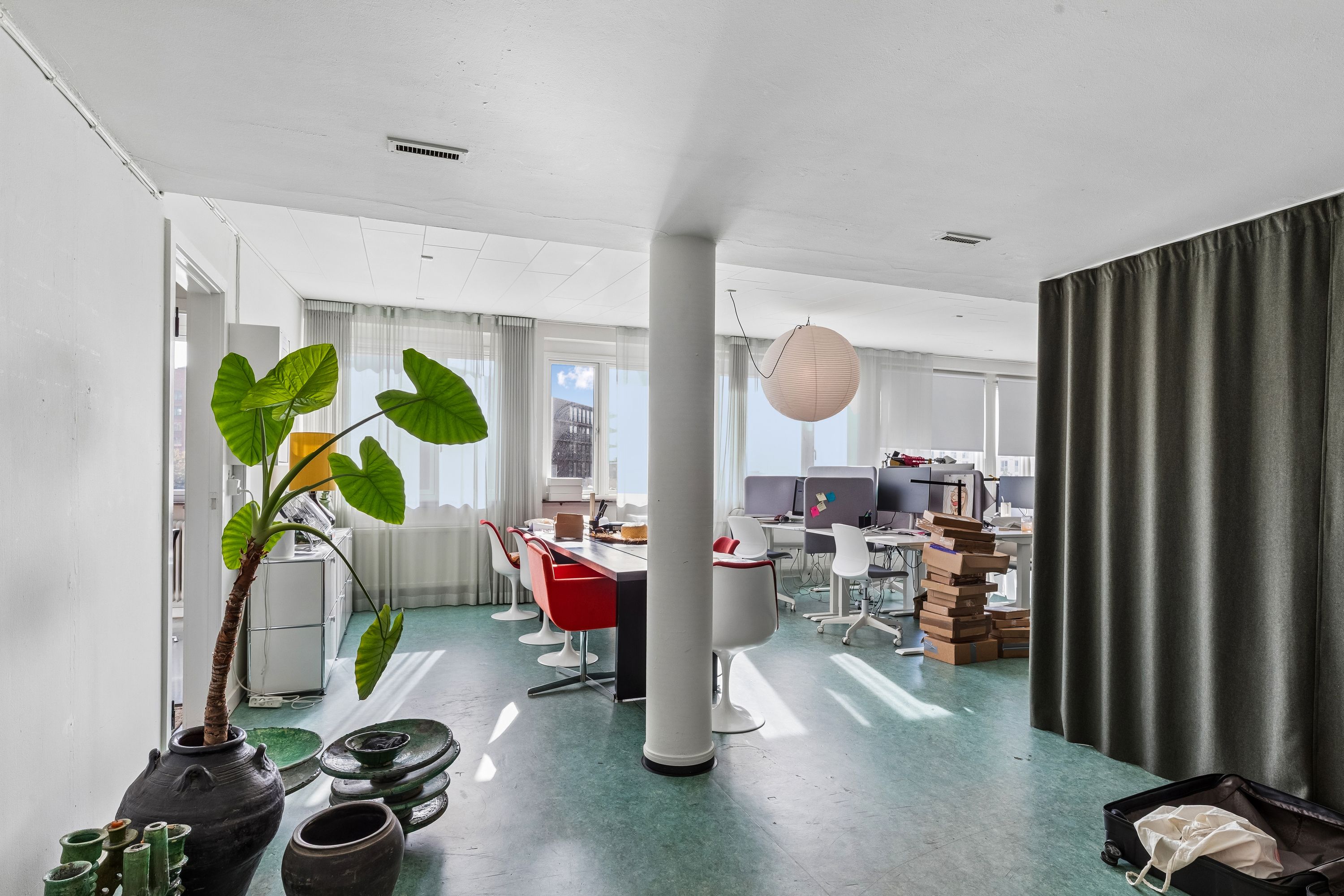 Kontor med lyse gulve, store vinduer, højtloft, møbler, papkasser, lysekroner, indendørs plante og lærte væg.