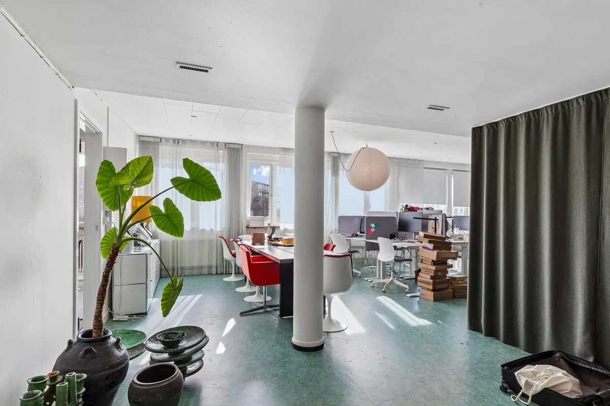 Kontor med lyse gulve, store vinduer, højtloft, møbler, papkasser, lysekroner, indendørs plante og lærte væg.