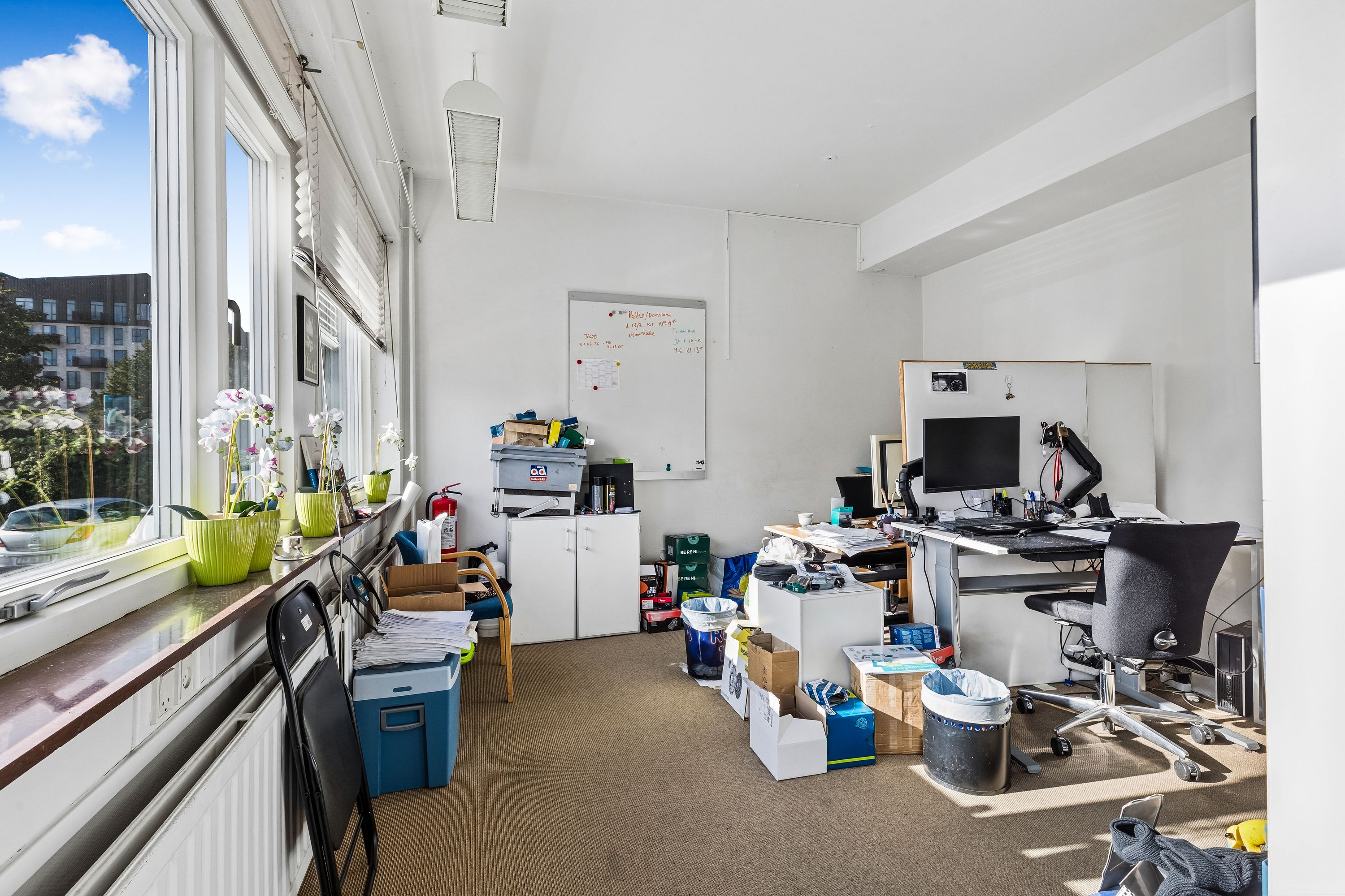 Kontor med skrivebord og computer, stående i en lyse og åben rum, og fuld af ting som papirkurve, papir, og plante.