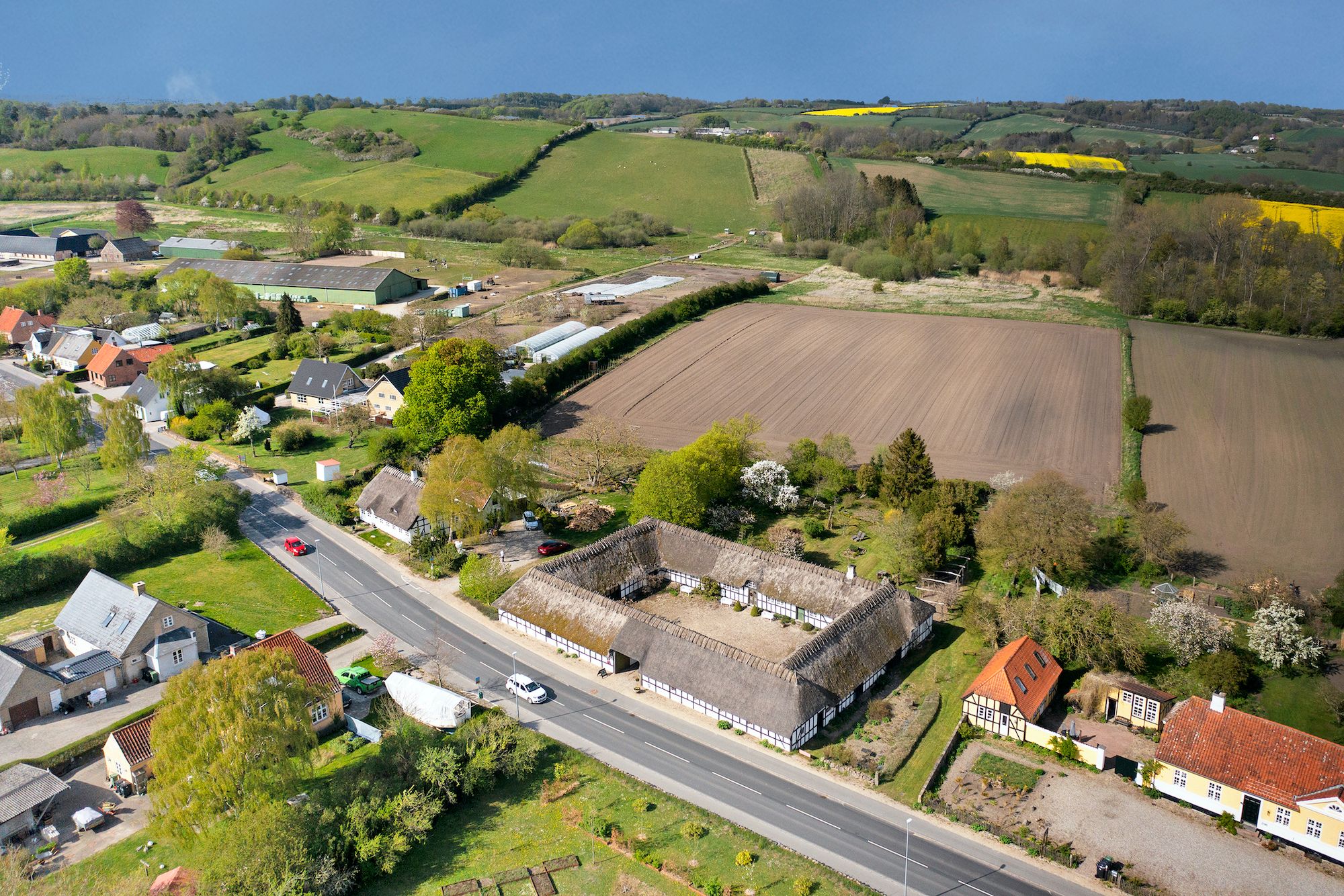 Landsby med skov, marker, grønne marker, huse, vej, røde tag, hvid og grå hus, grønne træer og buske, en bil parkeret ved